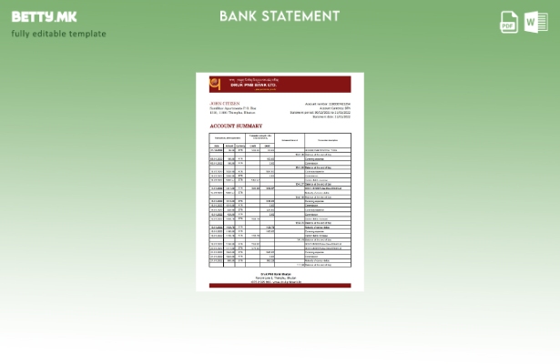 Модерен стил Бутан Друк PNB банкарски извод шаблон ексел