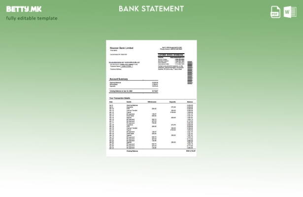 Модерен стил Пакистан Meezan Bank Limited шаблон за зборови за извод на сметка