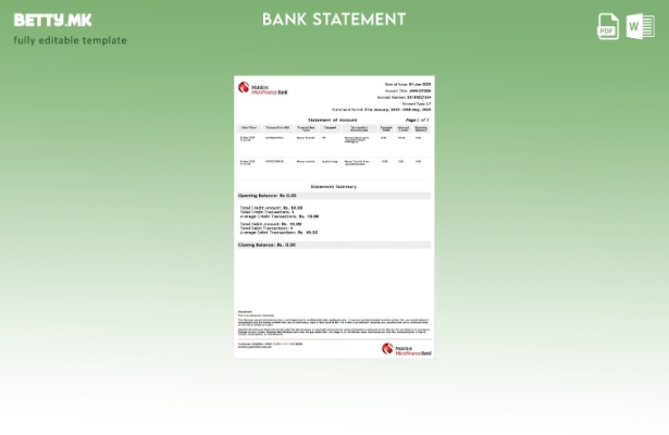 Модерен стил Пакистан Mobilink Microfinance банкарски извод на сметка шаблон за