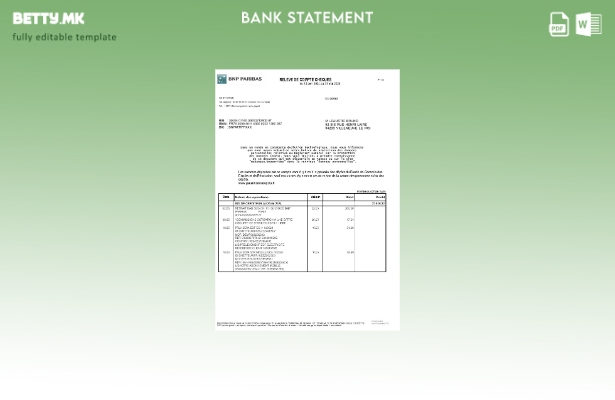 Модерен стил Франција BNP Paribas извод од банка, шаблон за Excel и PDF