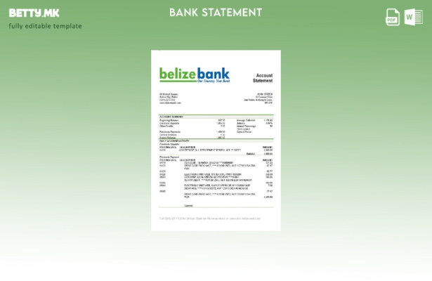Модерен стил Шаблон за извод од банка Белизе Белизебанк
