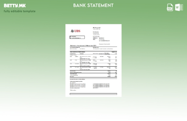 Модерен стил Швајцарија УБС извод од банкарски шаблон за ексел верзија