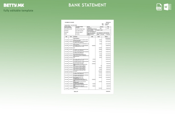 Модерен стил на Индија CSB банкарска изјава за шаблон за збор