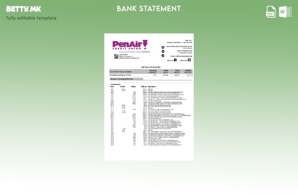 Модерен стил на САД Флорида PenAir Кредитна унија шаблон за страници за зборов 1