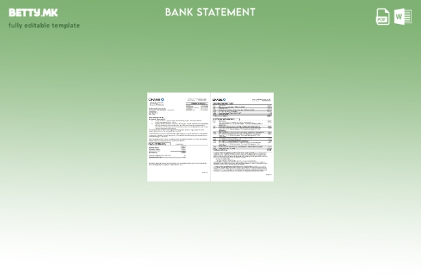 Модерен стил на САД JP Morgan Chase шаблон за ексел страници за извод од банка