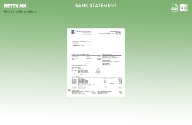 Модерен стил шаблон за збор верзија на извод од банка RBC во САД