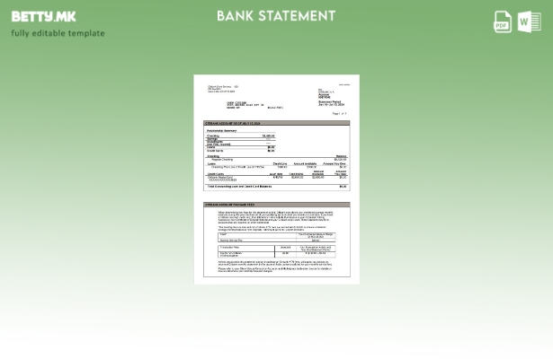 Модерен стил шаблон за збор верзија на изјавата на Ситибанк од САД