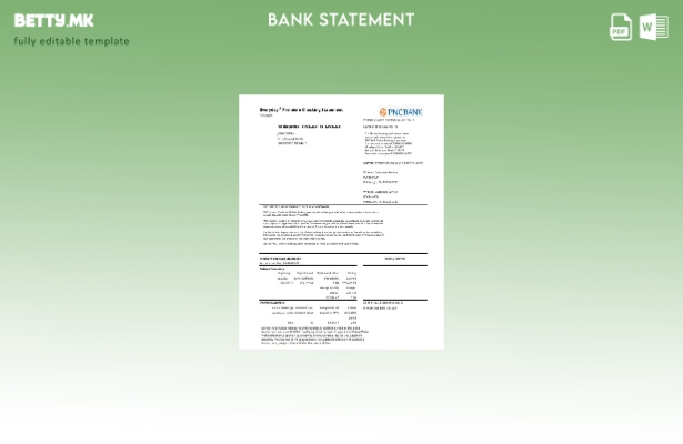 Модерен стил USA PNC извод на ексел шаблон