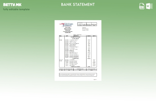 Модерен стил, шаблон ексел за банкарски извод од Универзитетот во САД во Јужна И