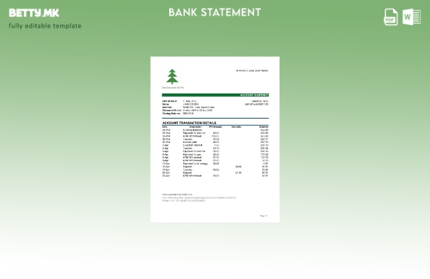 модерен стил Јужен Судан Едем Шаблон ексел за комерцијален банкарски извод