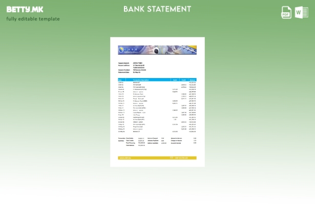 модерен стил Босна и Херцеговина Ексел шаблон за извод од централна банка