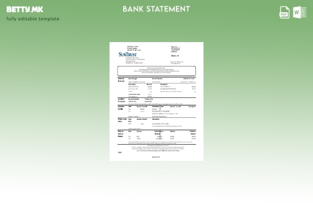 модерен стил САД Џорџија SunTrust банка изводи ексел шаблон