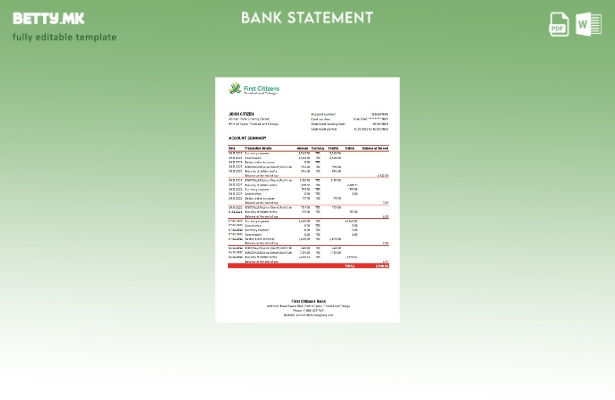 модерен стил Шаблон ексел за изводи од банкарски изводи од првиот граѓанин на Тр