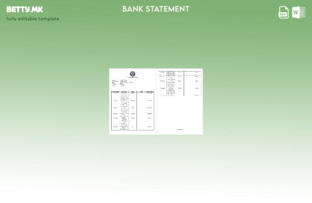 модерен стил Шаблон за збор страници за извод од банка во Пакистан Мезан