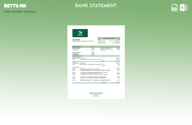 модерен стил шаблон ексел за извод од банка на Лесото Недбанк