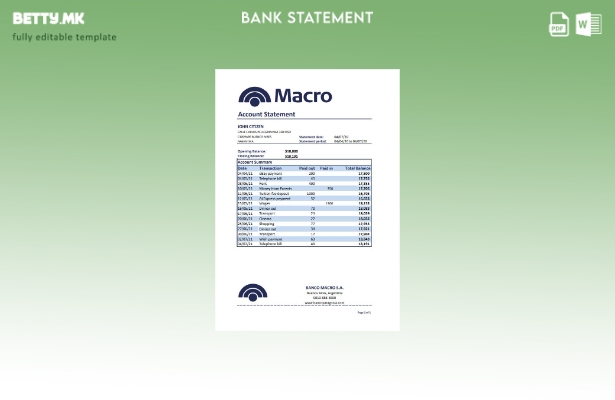 модерен стил Argentina Banco Macro S. A. шаблон ексел за извод од банка
