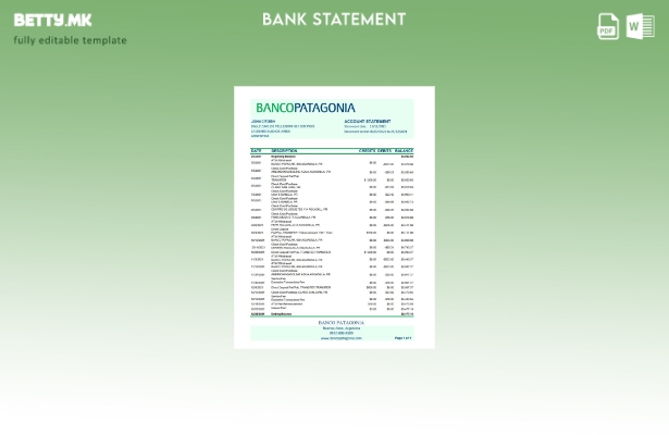 модерен стил Argentina Banco Patagonia банкарски извод на ексел шаблон