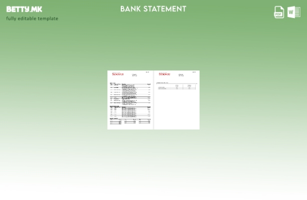 модерен стил USA Synovus шаблон за страници за збор за изводи од банка 2