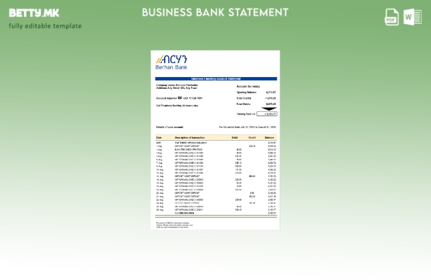 модерен стил Берхан банкарска деловна фирма извод на сметката Шаблон Word snd PD