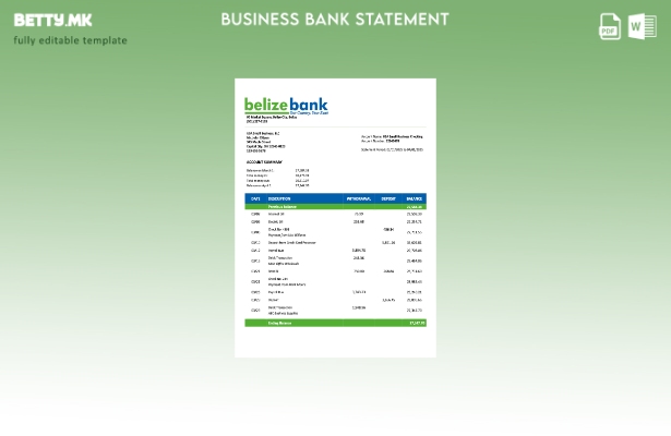 модерен стил Извештај за сметка на организацијата на банката на САД во Белизе за