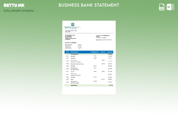модерен стил Либанска организација Емирати што го проверува изводот на сметката