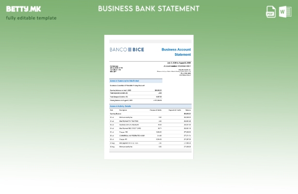 модерен стил Чилеански Banco Bice деловна фирма сметка банкарски извод Шаблон Wo