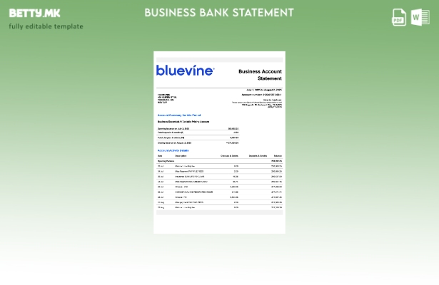 модерен стил на САД Калифорнија BlueVine за проверка на изјава за деловни сметки