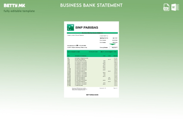 модерен стил на банката BNP Paribas изјава на компанијата Word и PDF шаблон