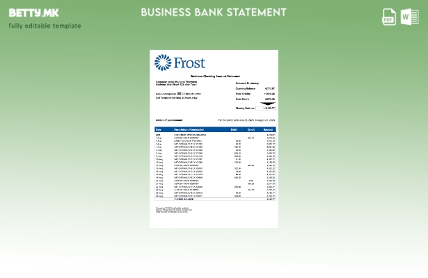 модерен стил USA Frost претпријатие изјава Шаблон Word и PDF формат