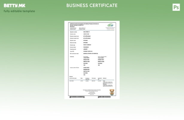 Модерен стил Јужноафрикански сертификат за регистрација на компанија Шаблон за W