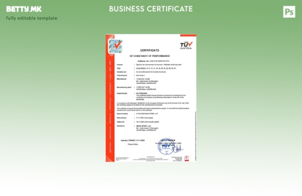 Модерен стил Австрија сертификат за постојаност на шаблон за изведба