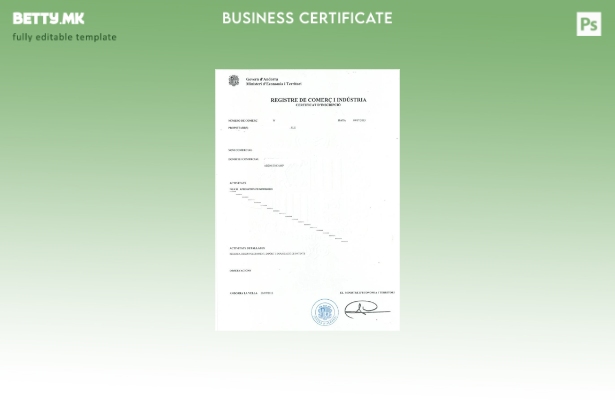 Модерен стил Андора шаблон за комерцијална и индустриска регистрација