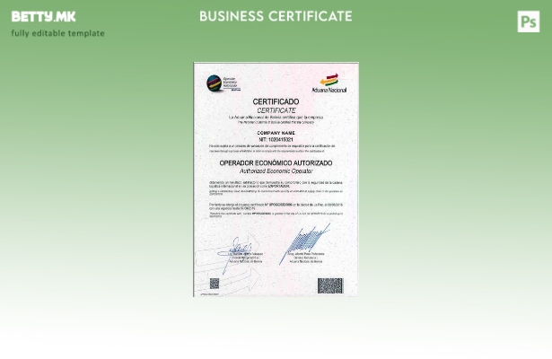 Модерен стил Боливија сертификат за регистрација шаблон