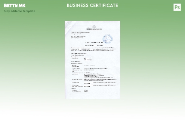 Модерен стил Бугарија Шаблон за сертификат за регистрација