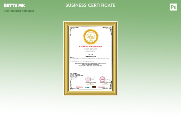 Модерен стил Виетнамски сертификат за регистрација Шаблон за Word и PDF