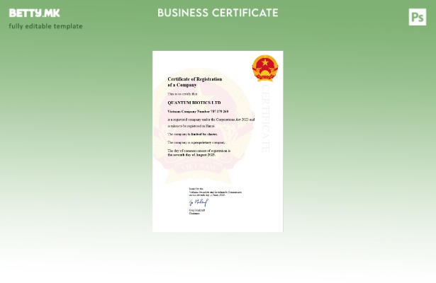 Модерен стил Виетнамски сертификат за регистрација на бизнис Шаблон за шаблон Wo