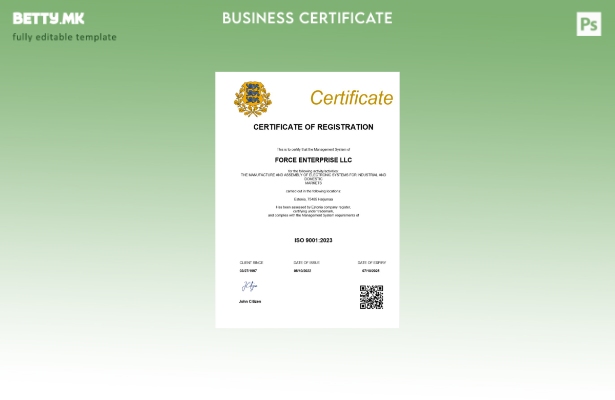 Модерен стил Естонија сертификат за регистрација Шаблон за Word и PDF