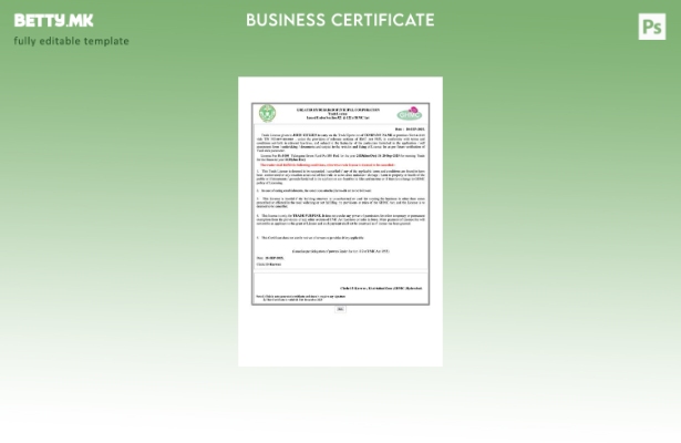 Модерен стил Индија Хајдерабад трговска лиценца Шаблон за Word и PDF