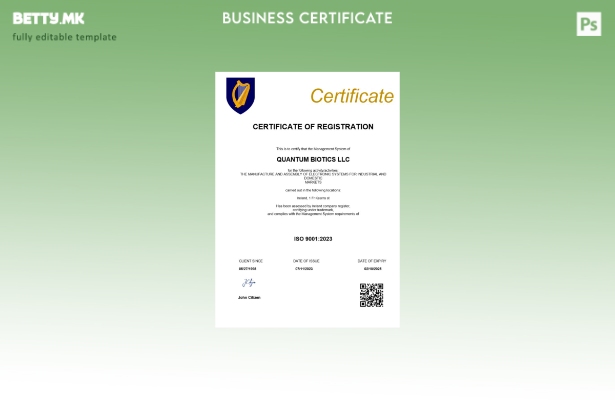 Модерен стил Ирска сертификат за регистрација Шаблон за Word и PDF