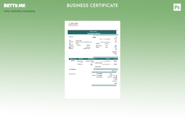 Модерен стил ОАЕ Дубаи индустриска лиценца Шаблон за Word и PDF