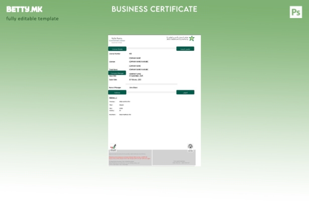 Модерен стил ОАЕ Дубаи комерцијална лиценца Шаблон за Word и PDF