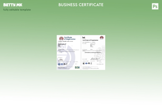 Модерен стил Обединетото Кралство BSI сертификат за регистрација Шаблон за Word