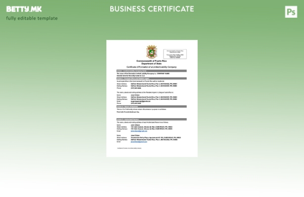 Модерен стил Порторико сертификат за формирање на друштво со ограничена одговорн