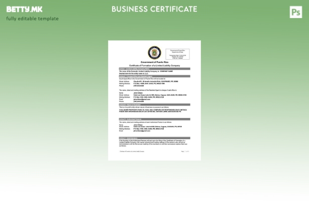 Модерен стил Порторико сертификат за формирање на друштво со ограничена одгово 1