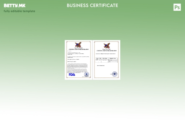 Модерен стил САД сертификат за регистрација Шаблон за Word и PDF
