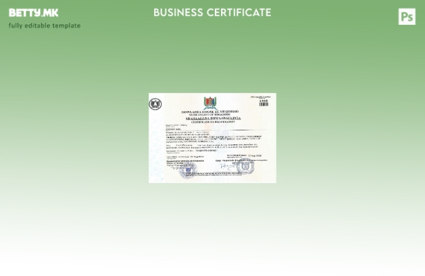 Модерен стил Сомалија сертификат за шаблон за регистрација