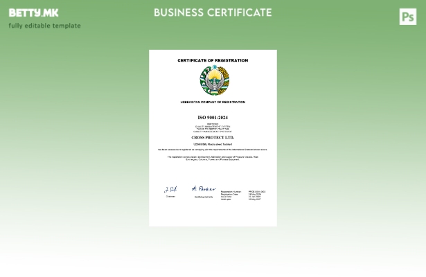 Модерен стил Узбекистански сертификат за регистрација на бизнис Шаблон за шаблон