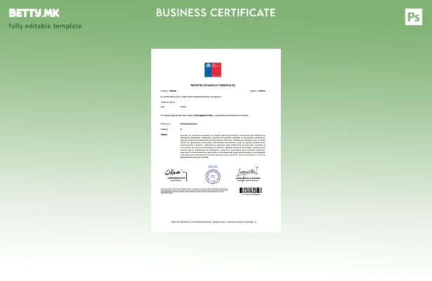 Модерен стил Шаблон за лиценца за регистрација на бизнис во Кина