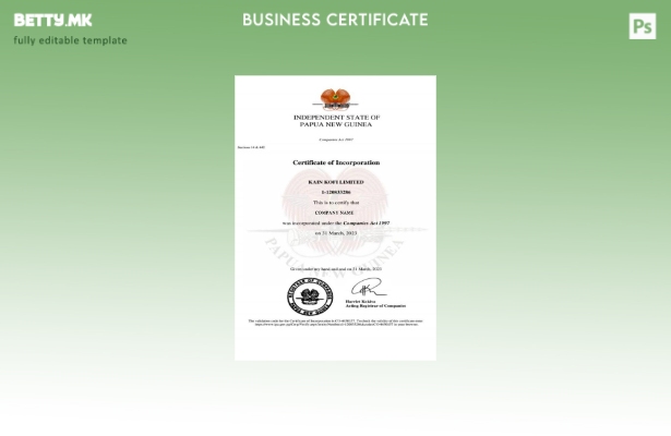 Модерен стил Шаблон за сертификат за основање на Папуа Нова Гвинеја