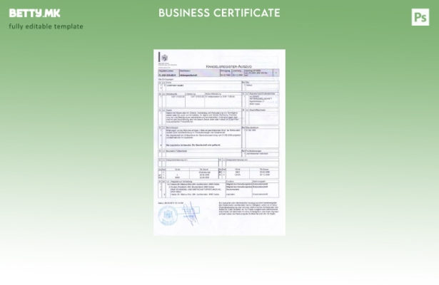 Модерен стил Шаблон за уверение за основање Лихтенштајн